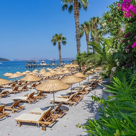 Ersan Exclusive Bodrum